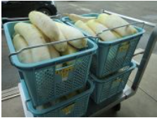 daikon.png