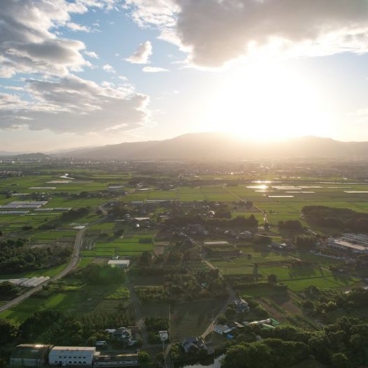 夕日