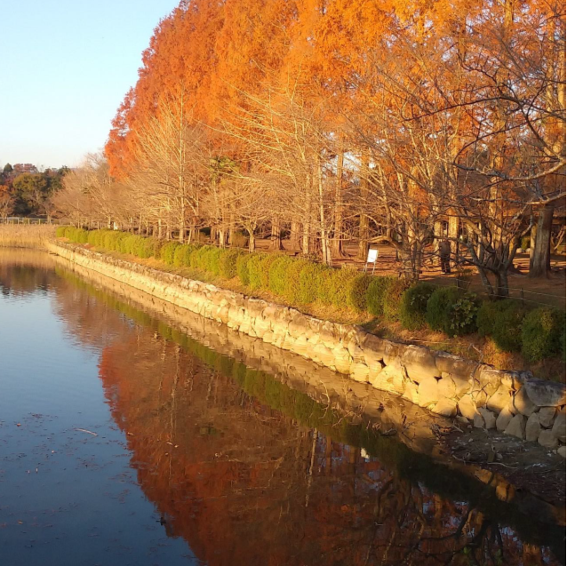水面に映える紅葉