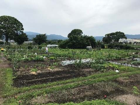 市民農園.jpg