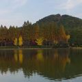 城山公園　晩秋