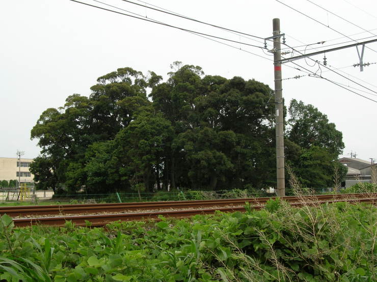 善風塚跡