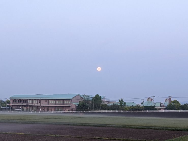 24.4.25.22..jpg
