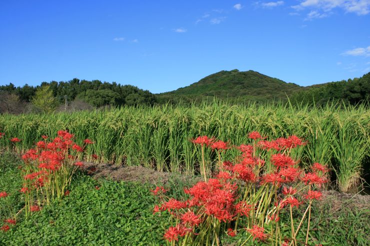 花立山