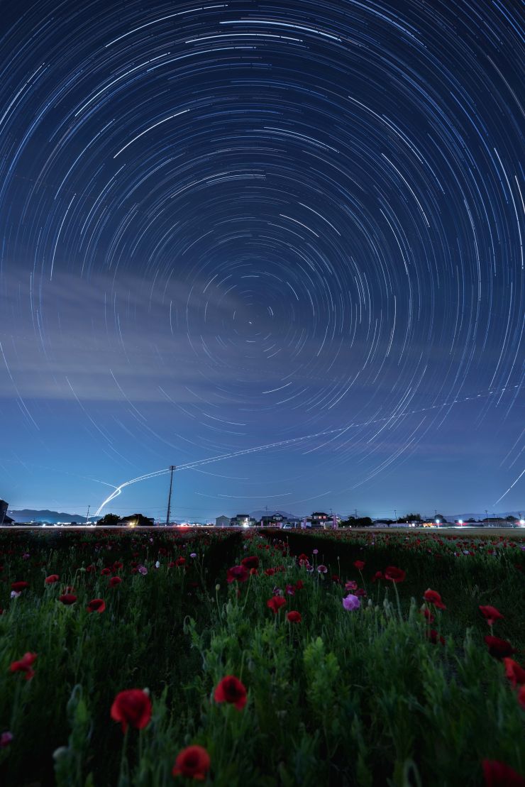StarStaX_DSC02318-DSC02495ポピー星ぐる３_lighten-Edit-Edit.jpg