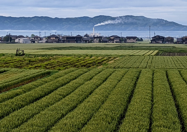 24.4.16.朝風景.png