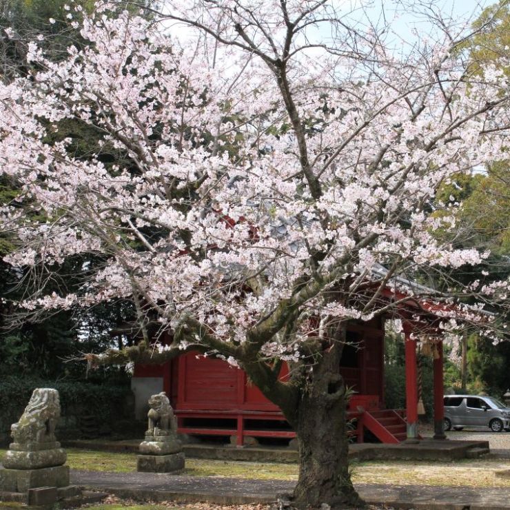 松崎天満稲荷神社