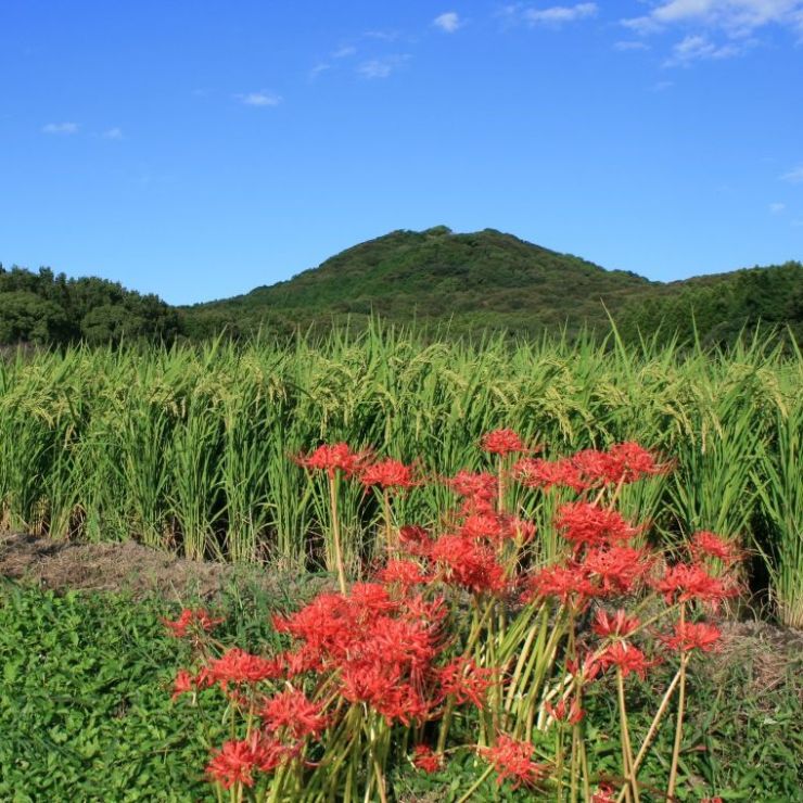 花立山