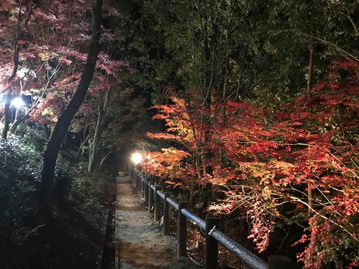 勝負坂公園を守る会.jpg
