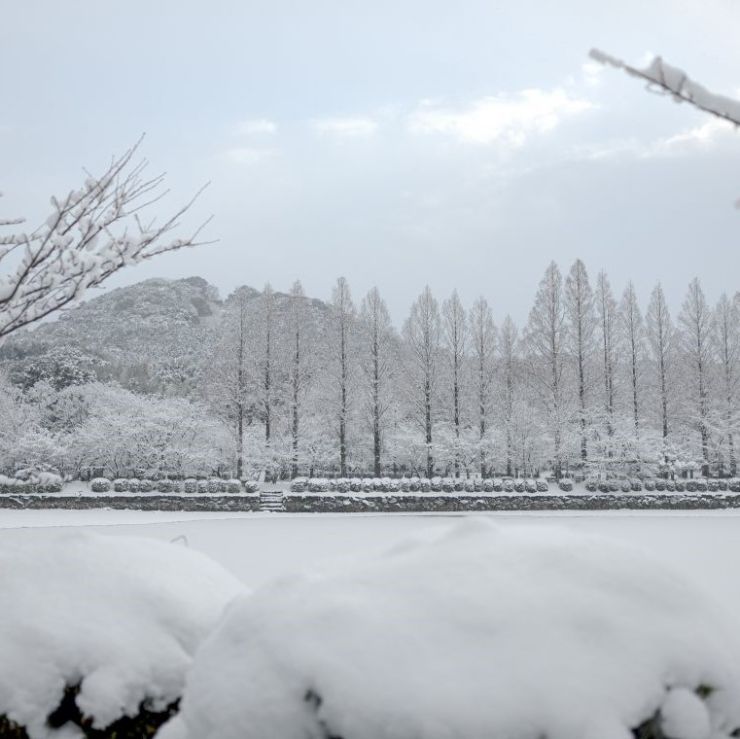 雪景色の城山公園