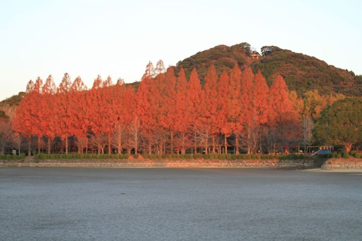 城山公園の紅葉