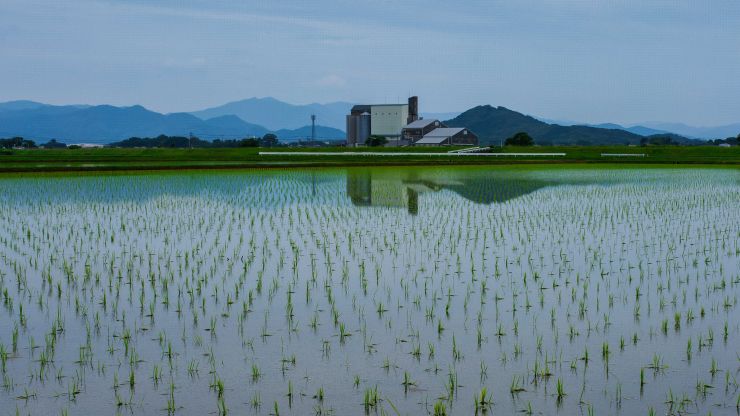 梅雨空が似合う田園風景