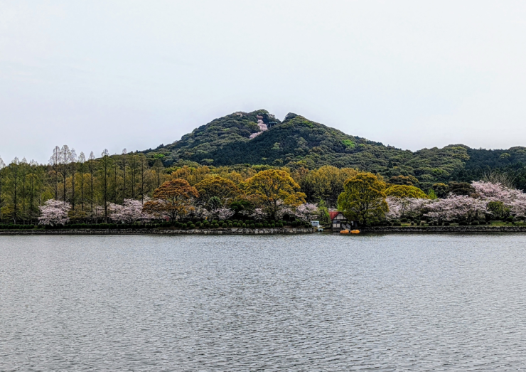 城山公園.png