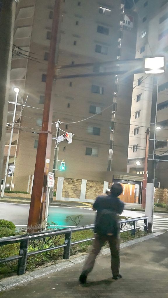 ムクドリ.jpg