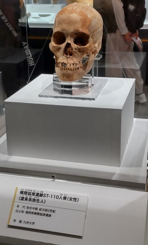 R7.5.15（東京国立科学博物館）①(1).jpg