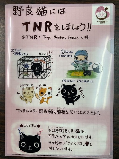 配布されたクリアファイル表