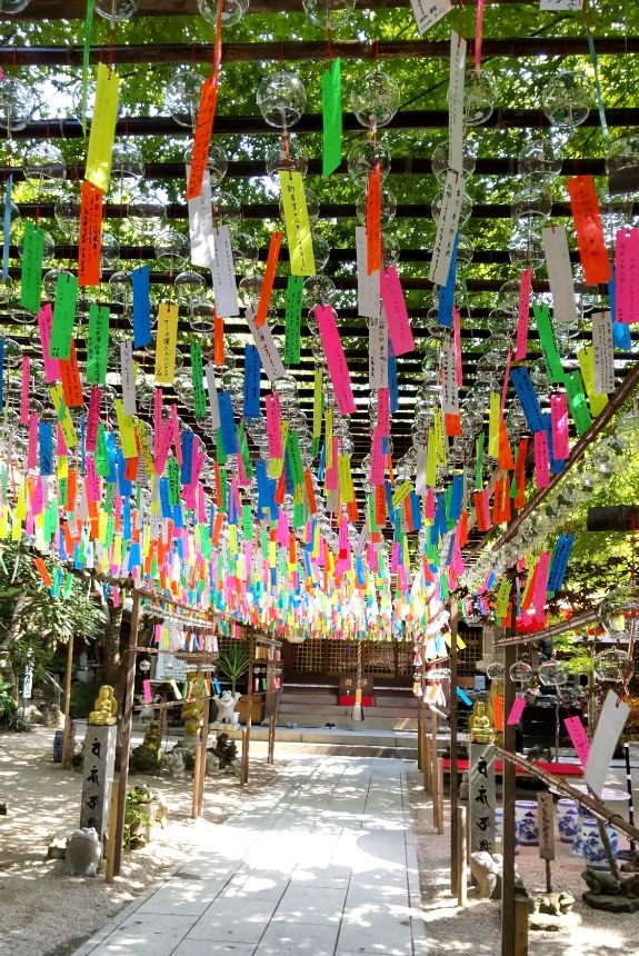 かえる寺夏の大祭.jpg