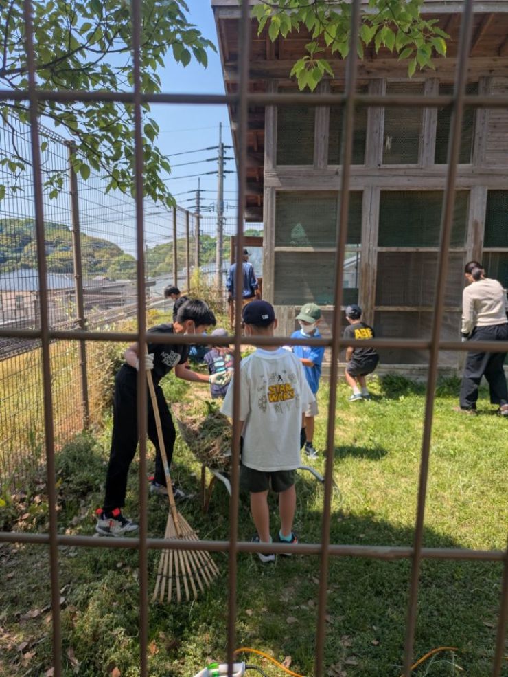 0516ウサギ小屋3.jpg