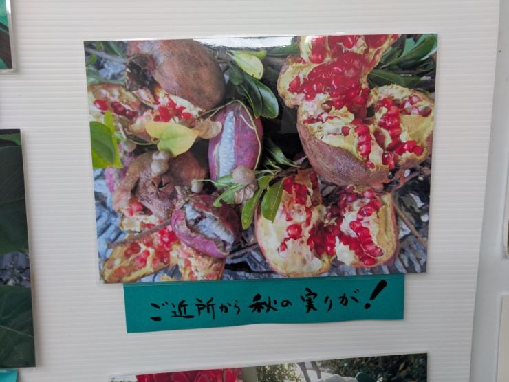 0908第8回ケータイ写真館展2.jpeg