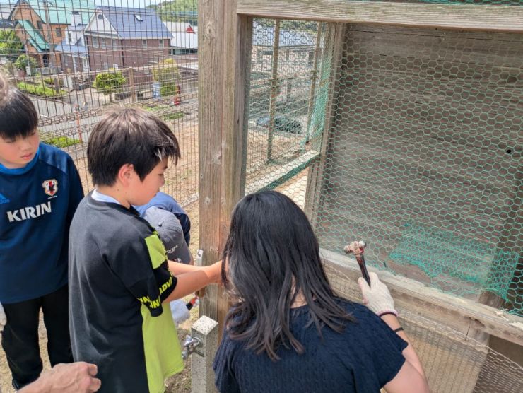 0606ウサギ小屋2.jpeg