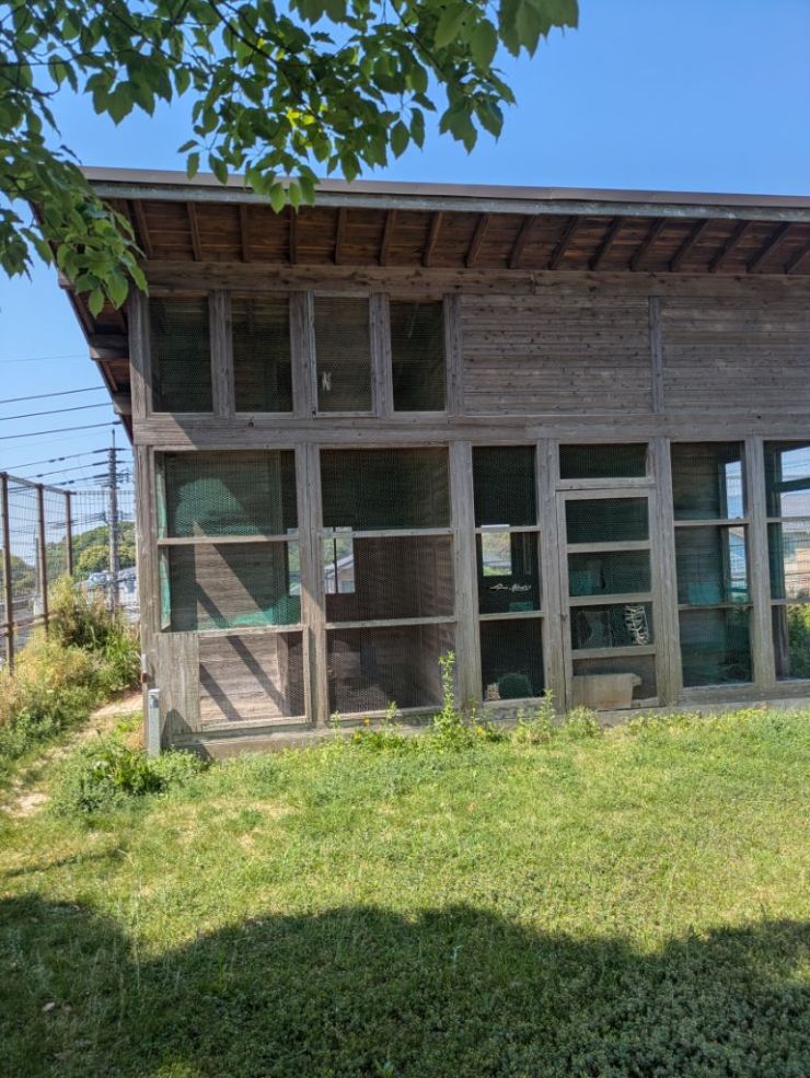 0516ウサギ小屋.jpg