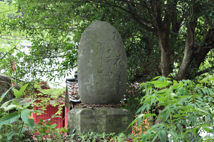 0627松崎桜植樹.JPG