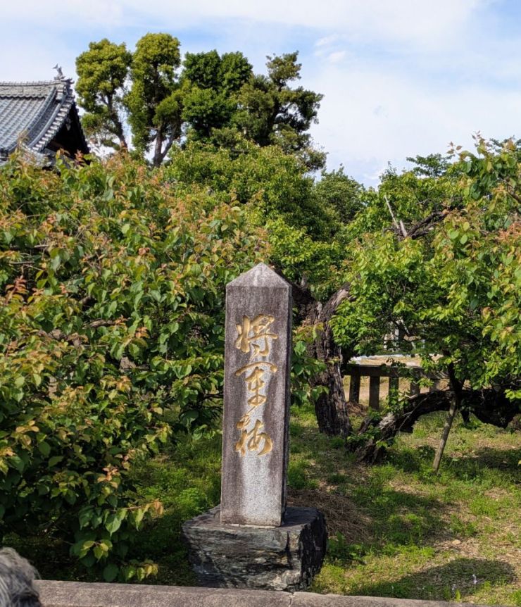 0507南北朝・菊池一族歴史街道推進.jpg