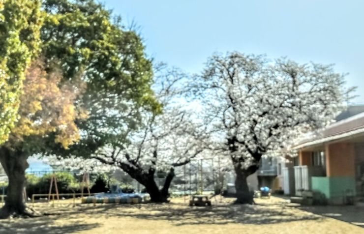 R7.4.2（御原保育所入園式）.jpg