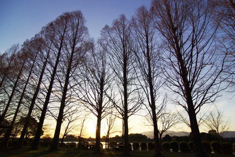 城山公園の夕暮れ