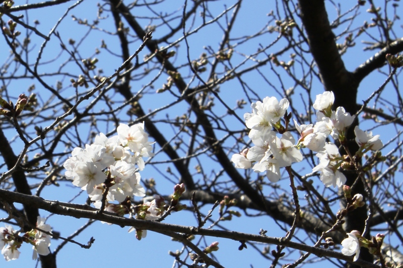 東町公園