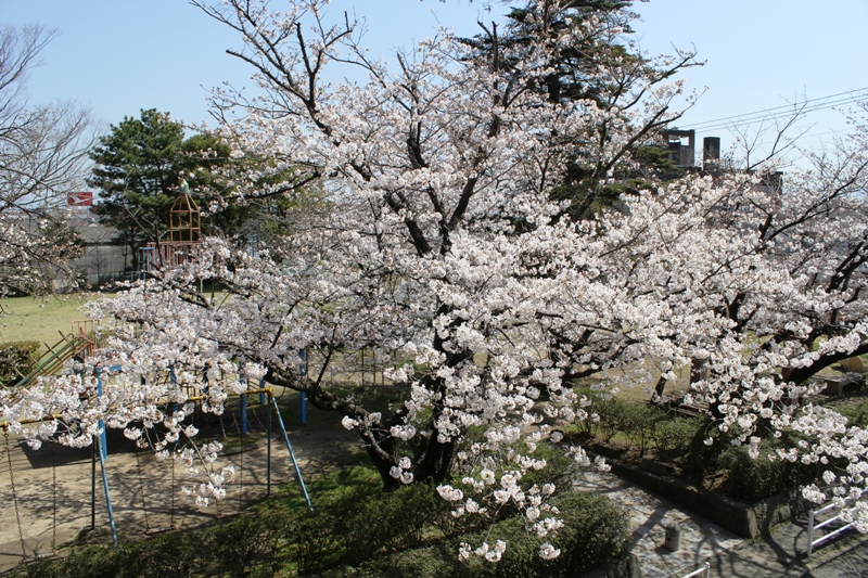 東町公園