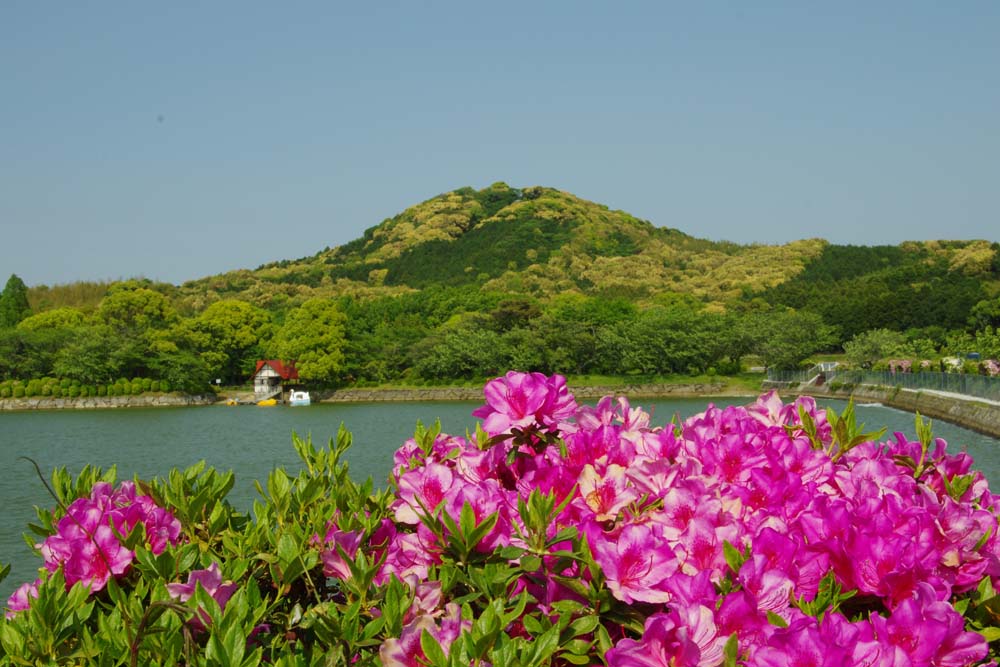 新緑の花立山