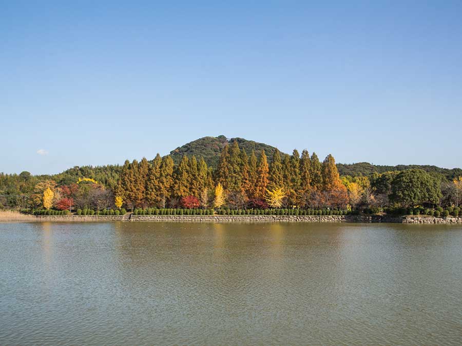 城山公園　紅葉