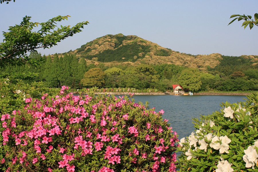 新緑の花立山