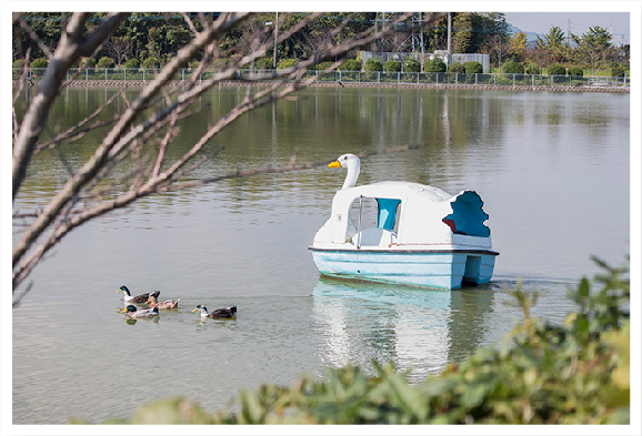 城山公園のボート