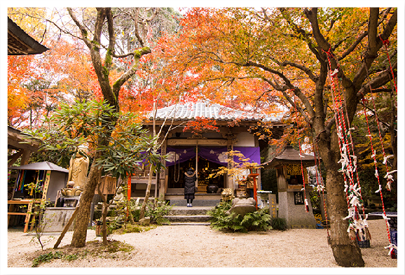 紅葉の季節の如意輪寺