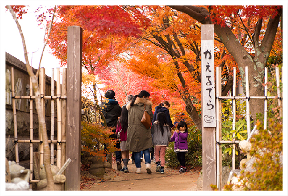 紅葉の季節の如意輪寺