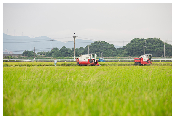 田園風景