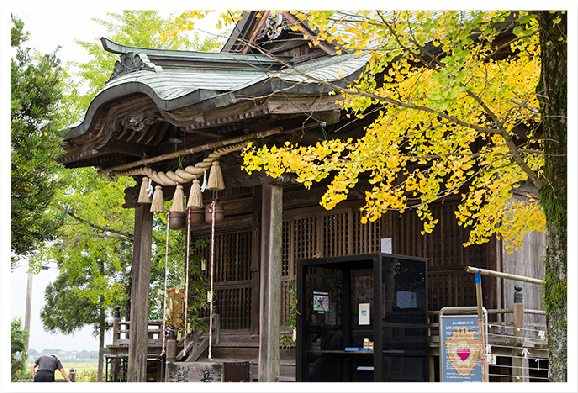 七夕神社社殿